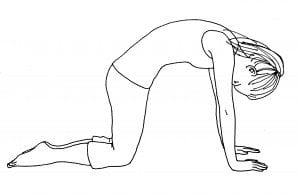CowPose2
