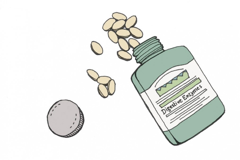 Digestive Enzymes