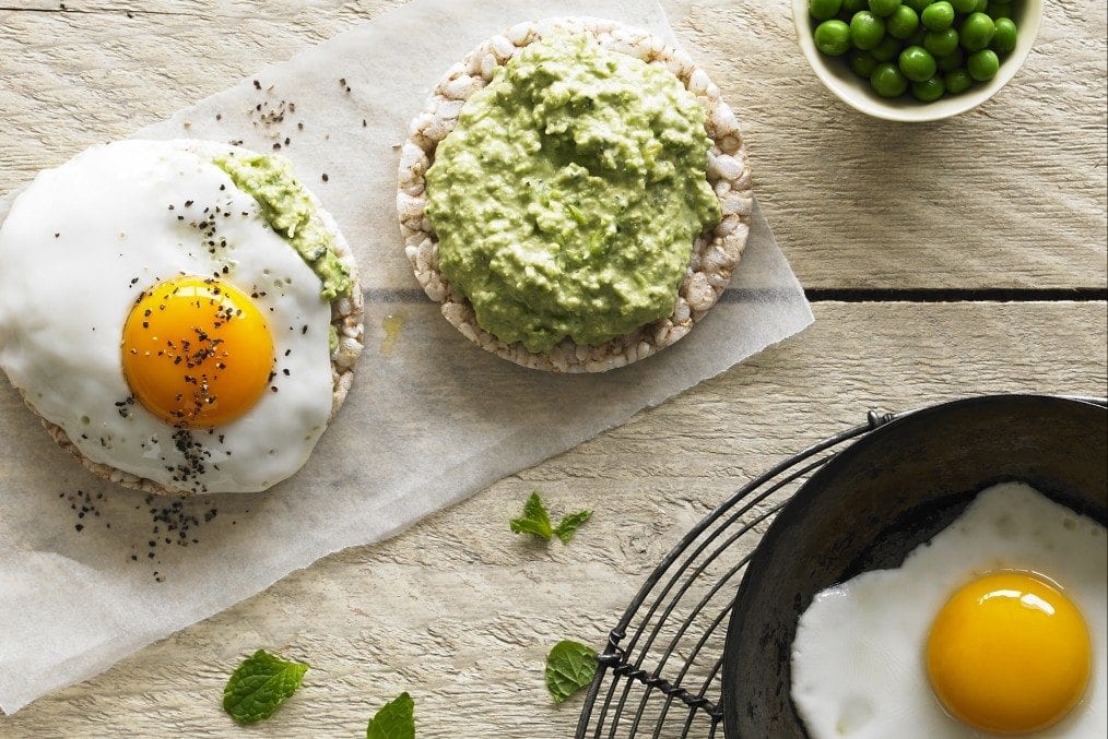 egg