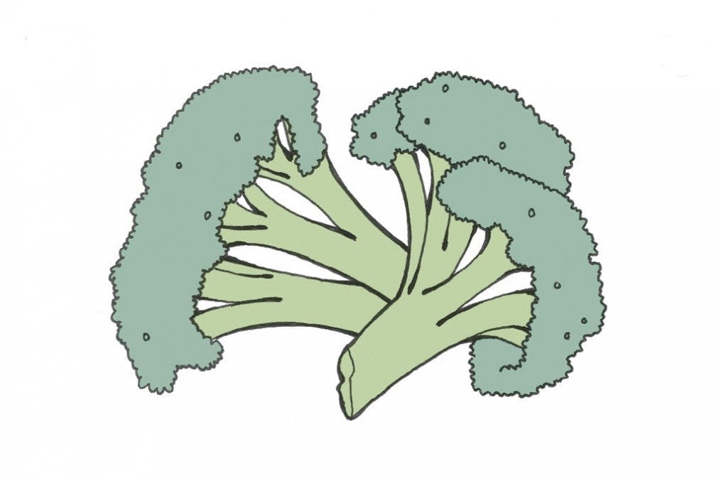 Broccoli