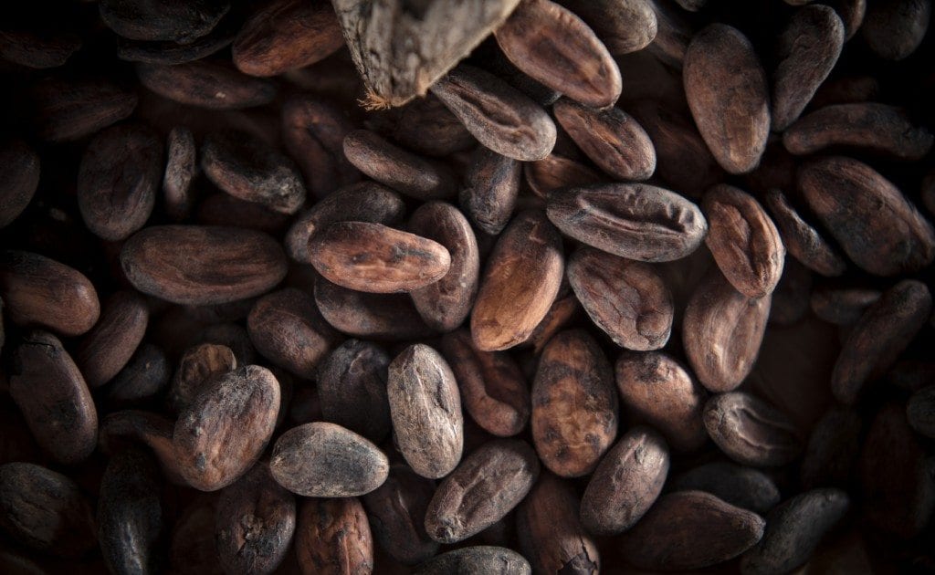 cocoa beans