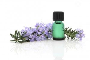 FREE_121696420.jpg rosemary oil