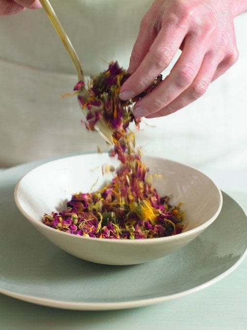 herbs1